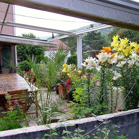 La Maison Rose Saillans  Екстериор снимка